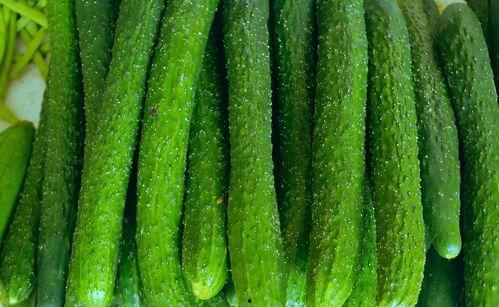 黄瓜c 17吃瓜fun,吃瓜乐趣无限，探索夏日清新美味