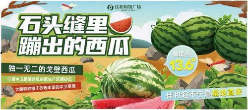 热门大瓜每日大赛,揭秘娱乐圈风云变幻，大赛精彩瞬间回顾